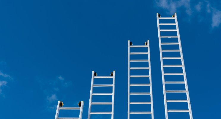 An Introduction to Bond Ladders