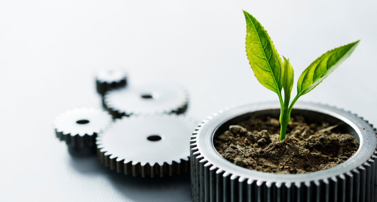Potted sprouting plant in gear shaped planter